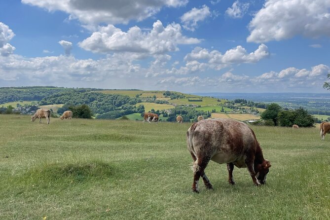 Private tour of the stunning Cotswolds with an expert local guide - Broadway High Street: Arts and Crafts, plus real free time