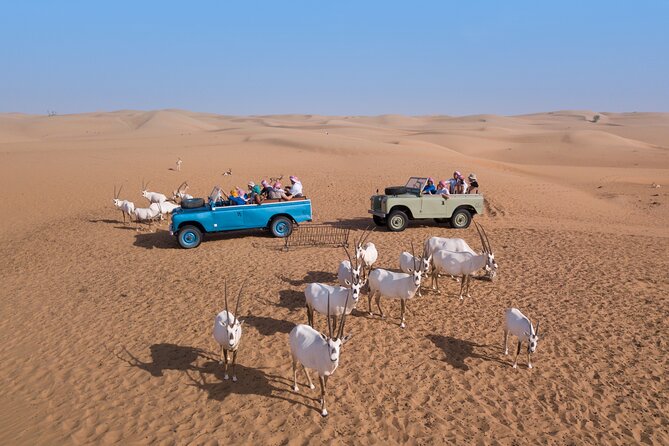 Private Vintage Land Rover Heritage Desert Safari- 4 Course Dinner & Activities - Bedouin camp arrival: torch light, Arabic coffee, and easy activities