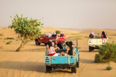 Private Vintage Land Rover Heritage Desert Safari- 4 Course Dinner & Activities - Sunset falconry: short, dramatic, and weather-dependent