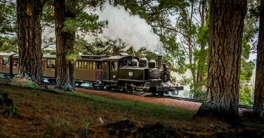 Puffing Billy Railway: Heritage Steam Train Journey - Key Things You’ll Notice on Puffing Billy