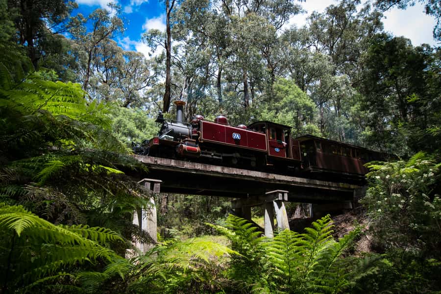 Puffing Billy Railway: Heritage Steam Train Journey - Weather, Cancellations, and Common-Sense Tips