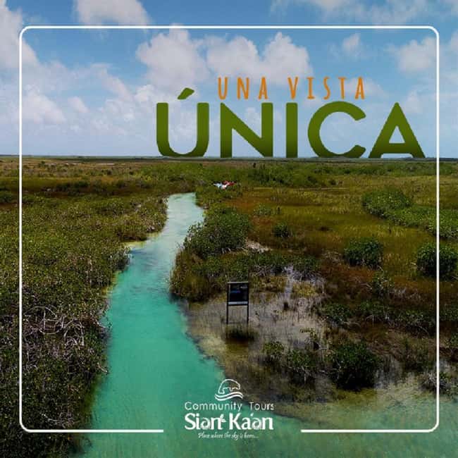 Riviera Maya: Sian Ka'an Reserve Ancient Maya Canals Tour - Guides and boats: how the day becomes personal instead of chaotic