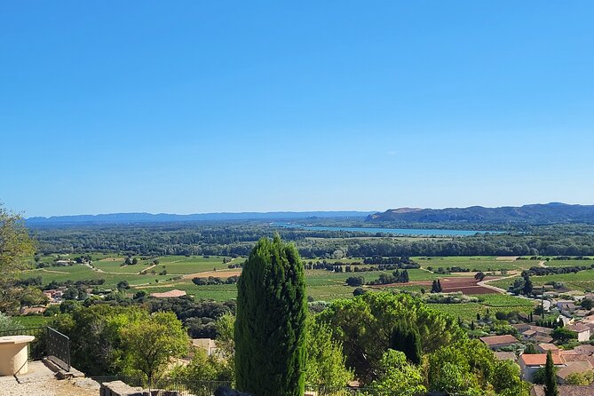 Roman Heritage & Wine Legacy - Châteauneuf-du-Pape: where the wine name starts tasting real