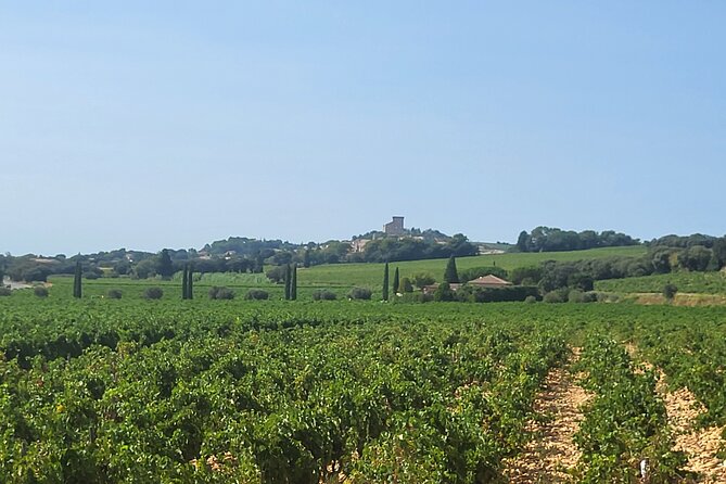Roman Heritage & Wine Legacy - Who this tour fits best (and who might feel cramped)