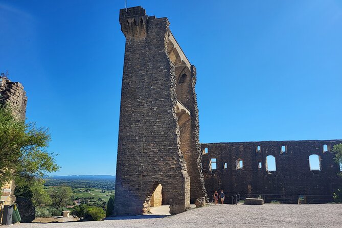 Roman Heritage & Wine Legacy - Two winery stops: the secret to why the afternoon works