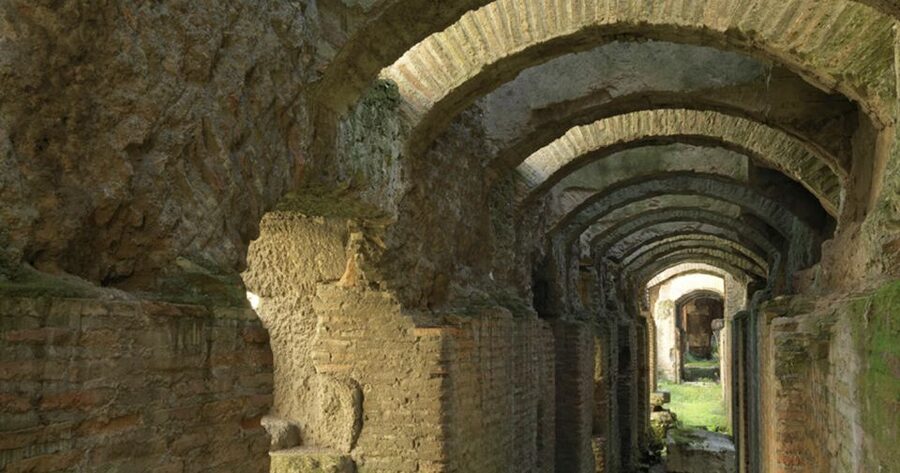 Rome: Ancient History and Colosseum Underground Tour - The underground chambers: secret passages, animal holding areas, and the gladiator route