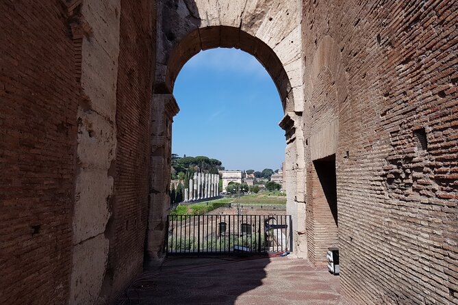 ROME:Colosseum & Ancient Rome - private/small group TOUR - Entering the Colosseum: first and second ring for real views
