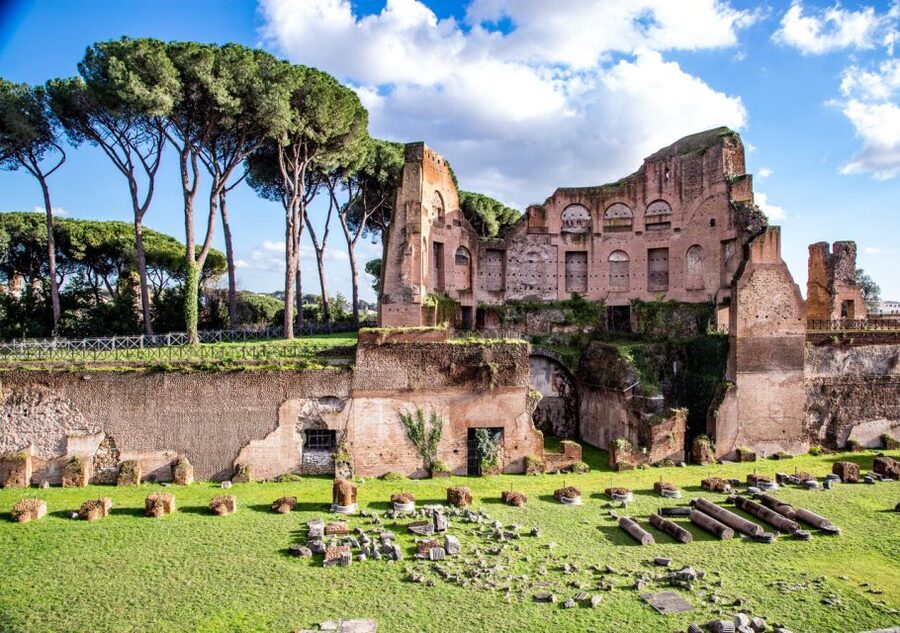 Rome: Colosseum Arena Access and Ancient Rome Guided Tour - Palatine Hill: imperial palaces, Circus Maximus, and the stair climb you should respect
