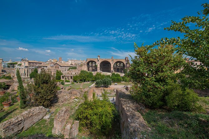 Rome: Colosseum Arena, Roman Forum & Palatine Hill Tour - Live guide vs Audio option: don’t accidentally choose the wrong experience