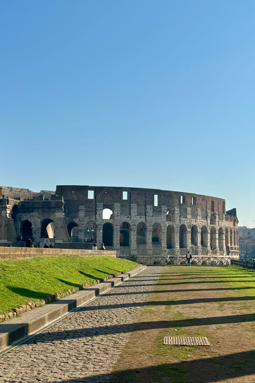 Rome: Private Colosseum Experience and Ancient Ruins Tour - Choose Your Style: Private Guide vs Audio App vs VIP Ticket