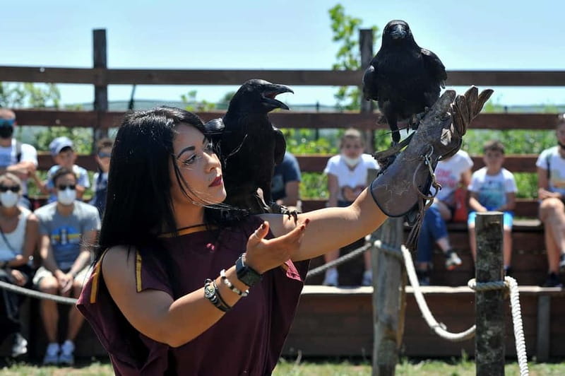 Rome: Roma World, the park to live a day as an Ancient Roman - Birds of Prey Arena: spectacle with a real-world feel