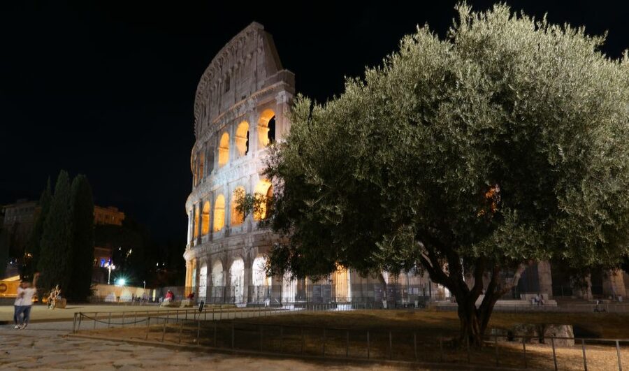 Rome: Wonders of Ancient Rome at Dusk - Dusk makes the Colosseum and Forum feel different