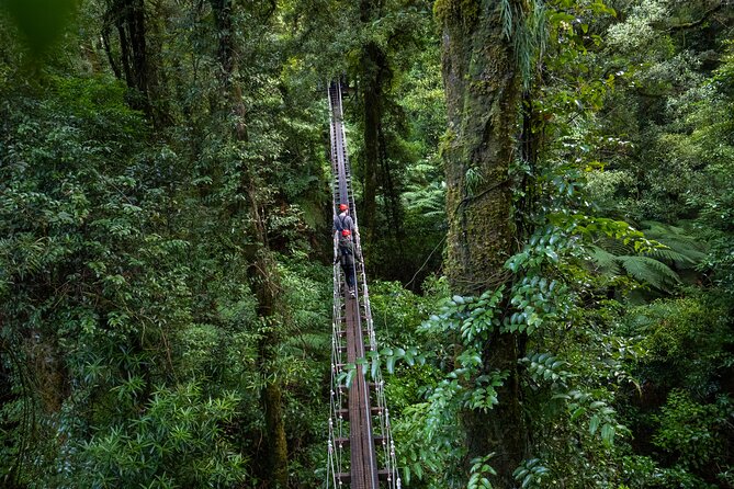 Rotorua Canopy Tours: 2.5Hour Native Forest Zipline Adventure - Why this Rotorua canopy zipline feels like more than a thrill ride