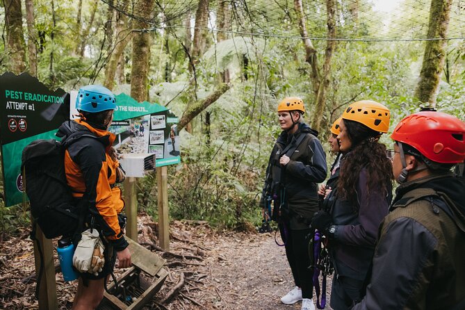 Rotorua Canopy Tours: 2.5Hour Native Forest Zipline Adventure - Weather reality in Rotorua: wet gear, layers, and when plans change