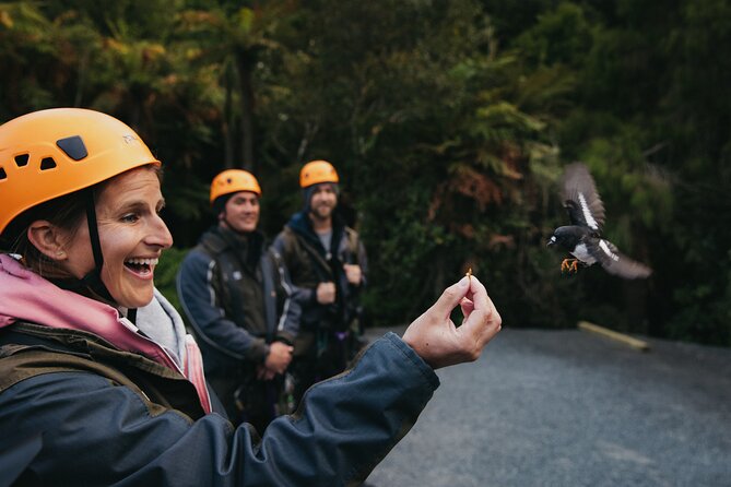 Rotorua Canopy Tours: 2.5Hour Native Forest Zipline Adventure - Why the included photos and conservation talk are part of the value
