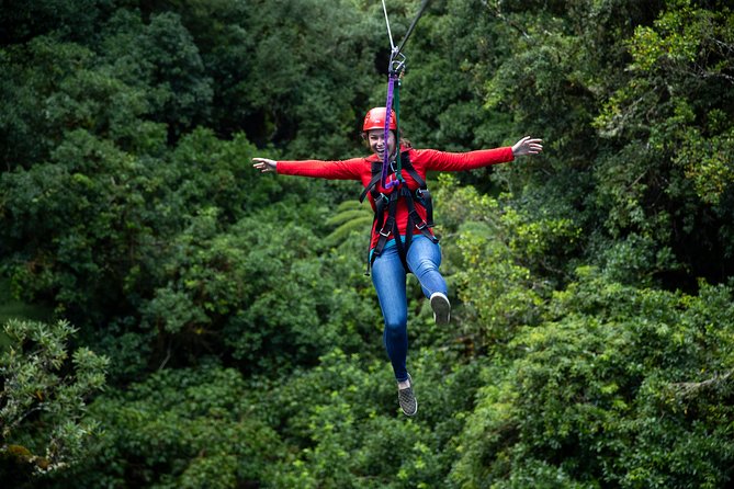 Rotorua Canopy Tours: 2.5Hour Native Forest Zipline Adventure - Who this zipline tour fits best (and who should skip it)