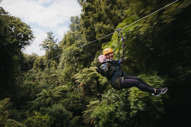 Rotorua Canopy Tours: 2.5Hour Native Forest Zipline Adventure - From meeting point to the forest: how your 2.5 hours usually unfold