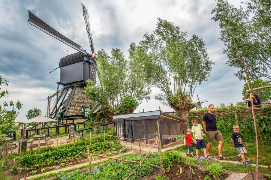 Rotterdam: Kinderdijk UNESCO World Heritage Entry Ticket - Your ticket: what you’re actually paying for