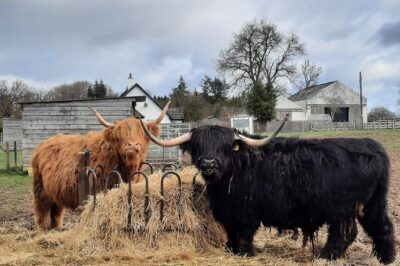Scottish Whisky Distillery & Fairytale Dunrobin Castle - Balblair Distillery: Tasting Plus a Real Guided Visit