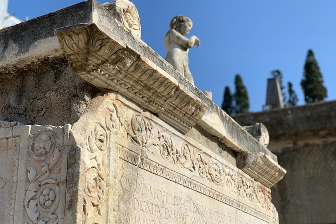 Secret Herculaneum: The Hidden Treasure of Ancient Roman Civilization - Ancient beach, sea-view terrace: the waterfront stops that make it real