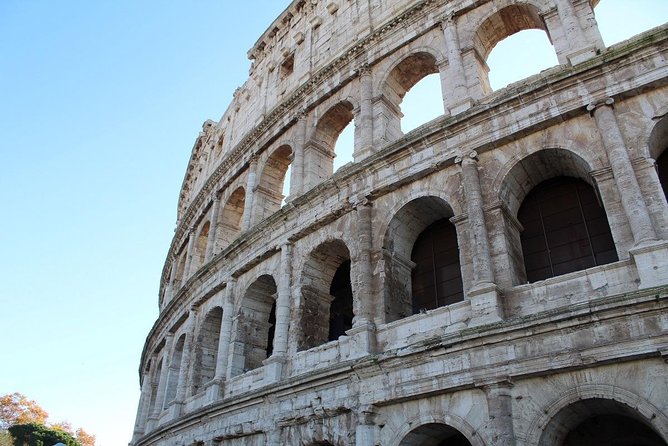 Semi-private tour: Colosseum & Ancient Rome VIP - Meeting points: Piazza del Colosseo to the Palatine area