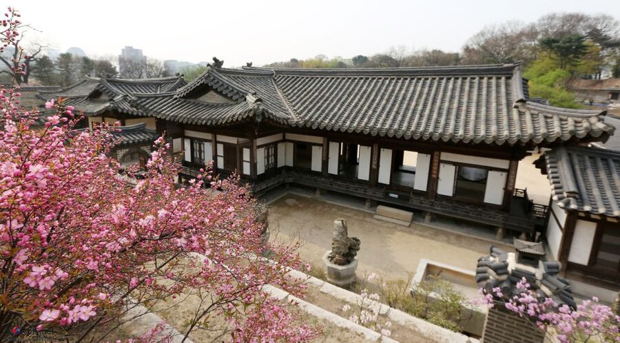 Seoul: UNESCO Heritage Palace, Shrine, and More Tour - Meeting point and timing: simple, but check your email