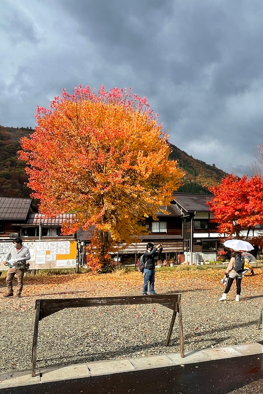 Shirakawa-go UNESCO Half-Day Tour from Takayama - The Photo Window After the Guided Portion: Use It on Your Terms
