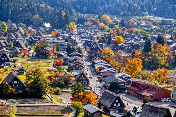 Shirakawago & Takayama Bus Tour from Nagoya w/Optional Lunch - Guides and group rhythm: why the narration helps