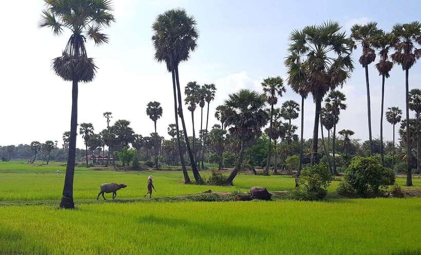 Siem Reap: 3-Hour Ancient Trails Motorbike Tour - What you’ll see: villages, hidden temples, markets, and the monk stop