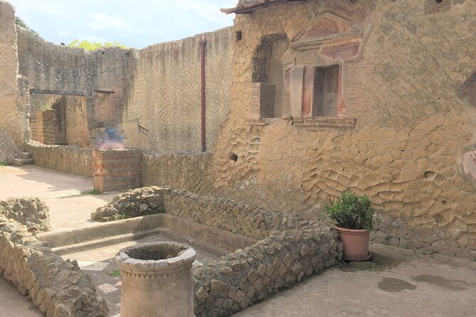 Skip the Line Ancient Herculaneum Walking Tour with Top Rated Guide - Casa di Nettuno e Anfitrite: a highlight you’ll remember
