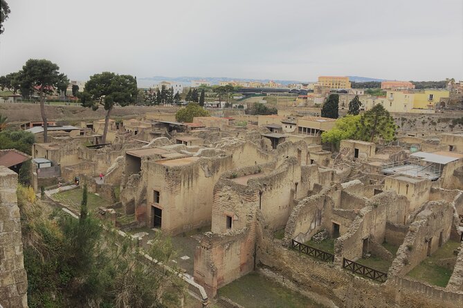 Skip the Line Ancient Herculaneum Walking Tour with Top Rated Guide - Casa del Rilievo di Telefo: where details get real