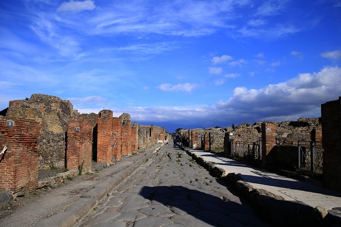 Skip-the-line Exclusive Private Full-Day Complete Ancient Pompeii Guided Tour - Your guide really sets the tone: Italo/Itilio and Clelia as examples