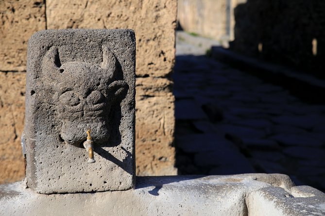 Skip-the-Line Half-Day Private Tour Ancient Pompeii Highlights with Native Guide - Skip-the-line entry that actually buys you time