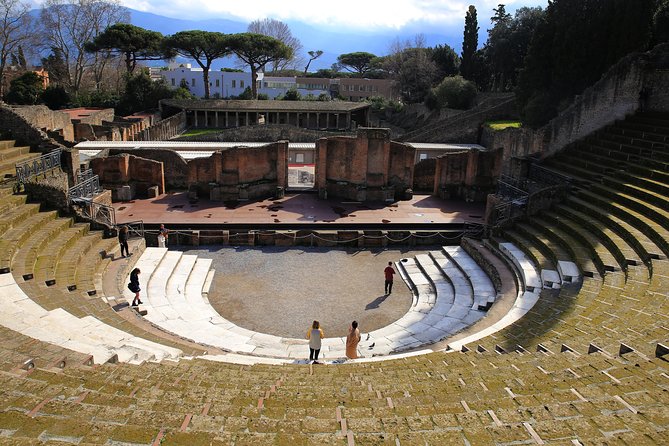 Skip-the-Line Half-Day Private Tour Ancient Pompeii Highlights with Native Guide - The heart of Pompeii: Forum moments and underground views