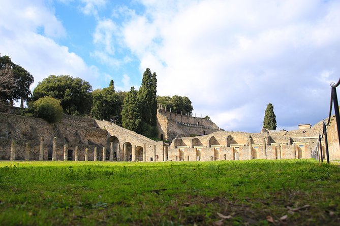Skip-the-Line Half-Day Private Tour Ancient Pompeii Highlights with Native Guide - Private Pompeii pacing: what 2 hours can cover