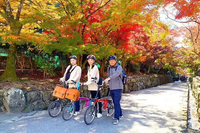 Slow Cycling Tour at Uji's Matcha Green Tea Fields and Heritage - Key highlights to look for
