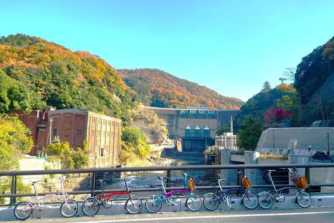 Slow Cycling Tour at Uji's Matcha Green Tea Fields and Heritage - Stop 1: Chazuna tea culture at the town exchange center