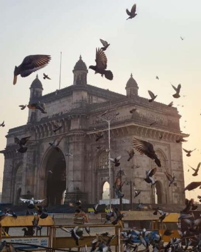 South Mumbai: Cultural Heritage Walking Tour - Gateway of India and Taj Mahal Palace: Where Mumbai Shows Off