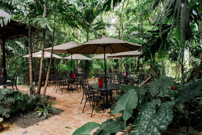 St. Nicholas Abbey Heritage Great House and Rum Distillery Tour - The plantation film: why it helps you see the whole estate