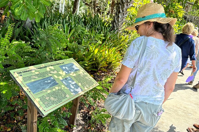 St. Petersburg: Jungle Prada Site History Tour - The Tocobaga mound for 600 years: what you’re really looking at