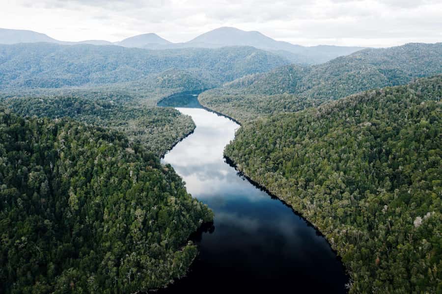 Strahan: World Heritage Cruise on Gordon River with Lunch - What you’re really paying for: value of the $109 price