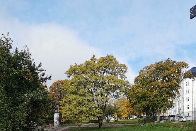 The Ancient Viking Stronghold of Aros: A Self-Guided Audio Tour in Aarhus - Millers Street: the kind of street you actually want to walk