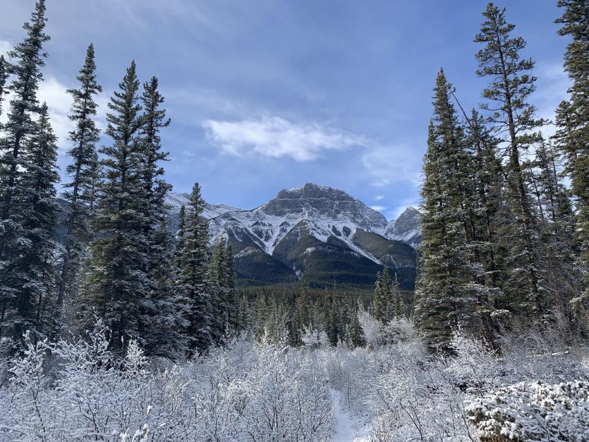 The Canmore HISTORY TOUR - Cowboys and Coal Miners 2H Walk - Price and value: is $46 per person worth it?