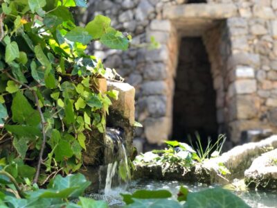 The Limestone Heritage Park and Gardens (Entry Ticket) - The audio-visual show and 17-language audio guide do the guiding