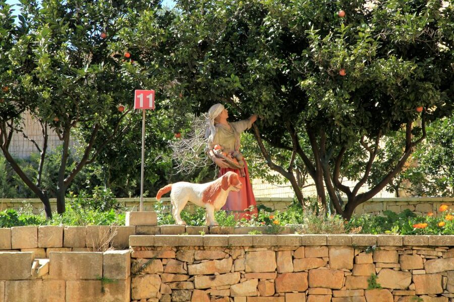 The Limestone Heritage Park and Gardens (Entry Ticket) - Geology section: understanding Malta’s limestone through what you see