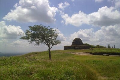 Three Ancient Kingdoms Tour | from Colombo - Yapahuwa rock fortress: wide stairs, carved pillars, and summit ruins