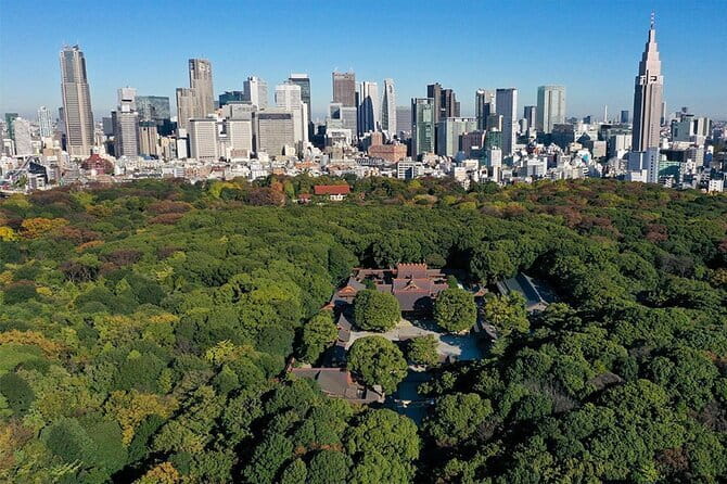 Tokyo: Meiji Shrine Walking Tour — Shintoism & Imperial System - Meeting at Harajuku Station and Keeping the Walk Low-Stress