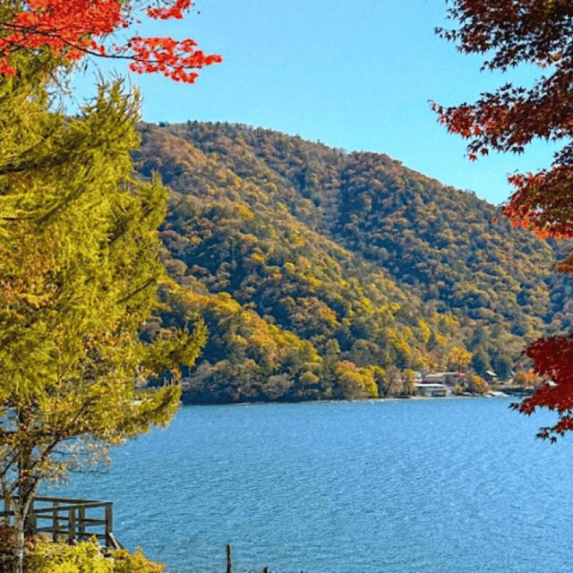Tokyo: Nikko Unesco World Heritage Unmissable Private Tour - What you’re really paying for: luxury transport + all travel costs handled