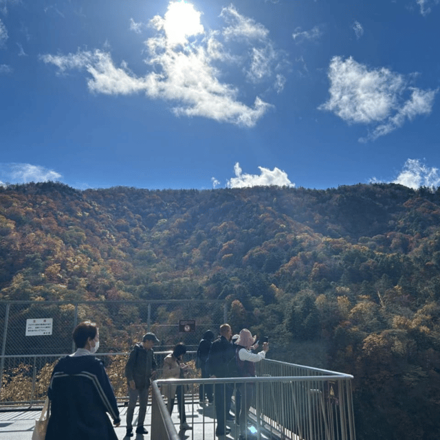 Tokyo: Nikko Unesco World Heritage Unmissable Private Tour - Nikko National Park: forest walks without the planning burden
