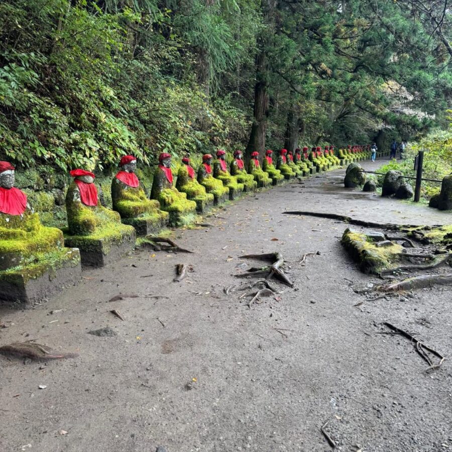 Tokyo: Nikko Unesco World Heritage Unmissable Private Tour - Nikko Tōshōgū shrine: what to focus on at Tokugawa Ieyasu’s resting place